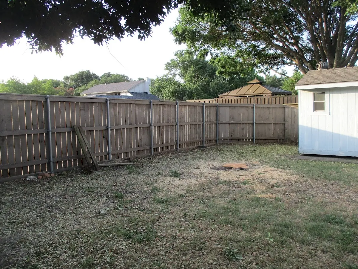 Cleared yard after professional tree removal in Milan
